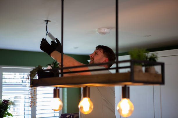 Best Electrical System Inspection  in St Charles, MN